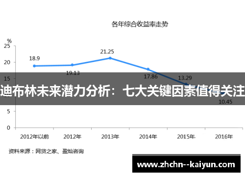 迪布林未来潜力分析：七大关键因素值得关注