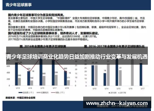 青少年足球培训商业化趋势日益加剧推动行业变革与发展机遇