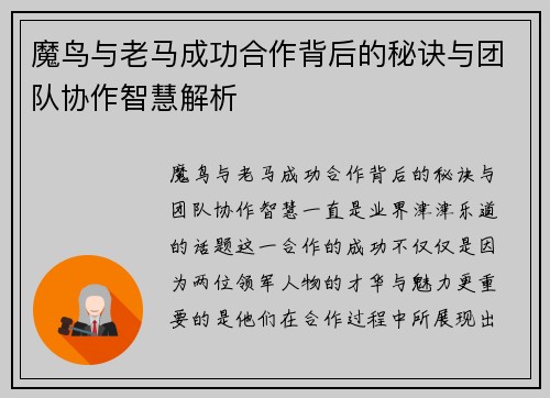 魔鸟与老马成功合作背后的秘诀与团队协作智慧解析
